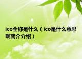 ico全称是什么（ico是什么意思啊简介介绍）