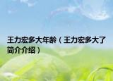 王力宏多大年龄（王力宏多大了简介介绍）