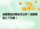 油箱里加白糖会怎么样（油箱里加入了白糖）