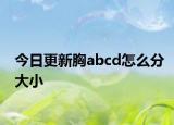 今日更新胸abcd怎么分大小