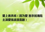 爱上言承旭（因为爱 言承旭海陆主演爱情浪漫喜剧）
