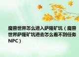 魔兽世界怎么进入萨隆矿坑（魔兽世界萨隆矿坑进去怎么看不到任务NPC）