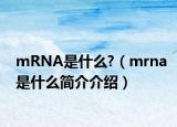 mRNA是什么?（mrna是什么简介介绍）