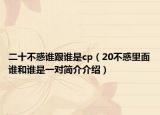 二十不惑谁跟谁是cp（20不惑里面谁和谁是一对简介介绍）
