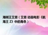 海贼王艾恩（艾恩 动画电影《航海王 Z》中的角色）