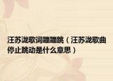 汪苏泷歌词蹦蹦跳（汪苏泷歌曲停止跳动是什么意思）