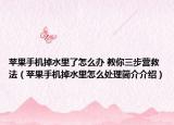 苹果手机掉水里了怎么办 教你三步营救法（苹果手机掉水里怎么处理简介介绍）