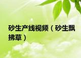 砂生产线视频（砂生飘拂草）