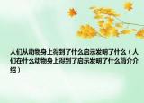 人们从动物身上得到了什么启示发明了什么（人们在什么动物身上得到了启示发明了什么简介介绍）