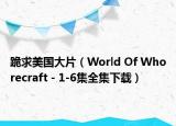 跪求美国大片（World Of Whorecraft - 1-6集全集下载）