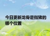 今日更新龙骨是指猪的哪个位置