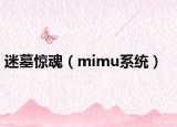 迷墓惊魂（mimu系统）