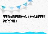 干股的意思是什么（什么叫干股简介介绍）