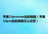 苹果13promax抬起唤醒（苹果13pro抬起唤醒怎么设置）