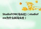 StudioFOW(马头社)（studiofow为什么叫马头社）