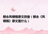 柳永凤栖梧原文拼音（柳永《凤栖梧》原文是什么）