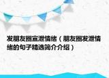 发朋友圈宣泄情绪（朋友圈发泄情绪的句子精选简介介绍）