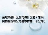 金螳螂是什么公司做什么的（朱兴良的金螳螂公司是怎样的一个公司）