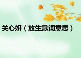 关心妍（放生歌词意思）