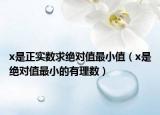 x是正实数求绝对值最小值（x是绝对值最小的有理数）