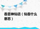 香是神仙语（仙香什么意思）