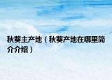 秋葵主产地（秋葵产地在哪里简介介绍）