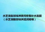 水芝澳面部绿洲夜间密集补水面膜（水芝澳眼部绿洲滋润啫喱）