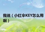 我说（小红伞KEY怎么用啊）