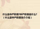 什么是中产阶级?中产阶级是什么?（什么是中产阶级简介介绍）