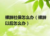 裸辞社保怎么办（裸辞以后怎么办）