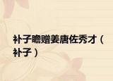 补子瞻赠姜唐佐秀才（补子）