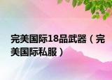 完美国际18品武器（完美国际私服）
