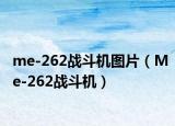 me-262战斗机图片（Me-262战斗机）