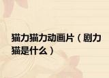 猫力猫力动画片（剧力猫是什么）