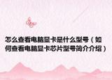 怎么查看电脑显卡是什么型号（如何查看电脑显卡芯片型号简介介绍）