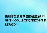 使用什么贸易术语时会显示FREIGHT（COLLECT和FREIGHT PREPAID）