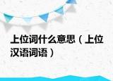 上位词什么意思（上位 汉语词语）