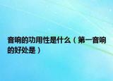 音响的功用性是什么（第一音响的好处是）