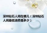 深圳钻石人间在哪儿（深圳钻石人间最低消费是多少）