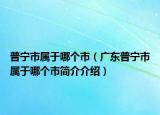 普宁市属于哪个市（广东普宁市属于哪个市简介介绍）