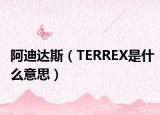 阿迪达斯（TERREX是什么意思）