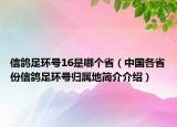 信鸽足环号16是哪个省（中国各省份信鸽足环号归属地简介介绍）