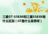 三星GT-S5830i和三星S5830i有什么区别（GT是什么意思呀）