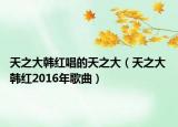 天之大韩红唱的天之大（天之大 韩红2016年歌曲）