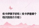 佐卡伊牌子好吗（佐卡伊是哪个档次的简介介绍）
