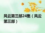 风云第三部24集（风云 第三部）