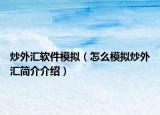 炒外汇软件模拟（怎么模拟炒外汇简介介绍）