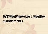 除了黄教还有什么教（黄教是什么派简介介绍）