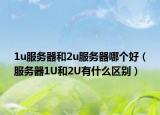 1u服务器和2u服务器哪个好（服务器1U和2U有什么区别）