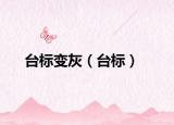 台标变灰（台标）